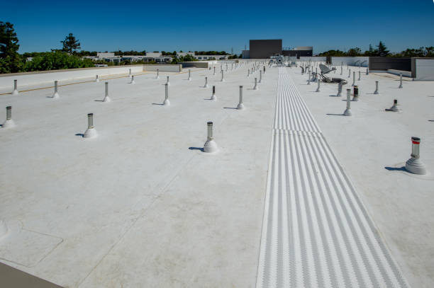 Best Steel Roofing  in Crouch Mesa, NM